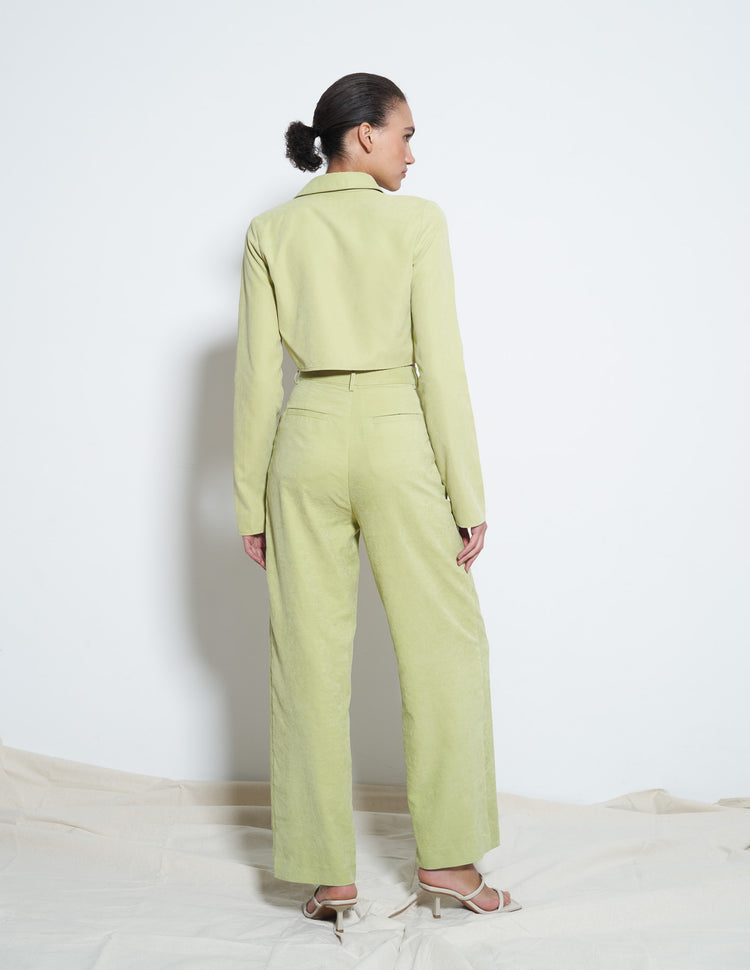 JOHNSON SUEDED TROUSER IN GREEN